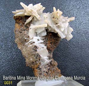 BARITINA